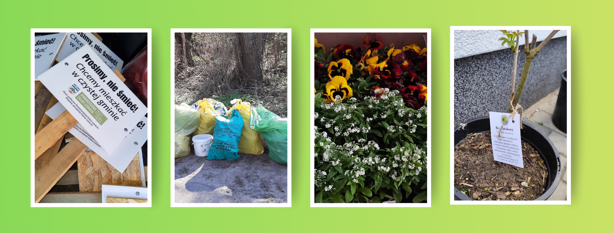 Sprzątanie gminy Leoncin 2025